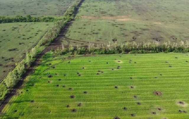 Оккупанты уничтожают плодородные земли в Запорожской области, - мэр Мелитополя