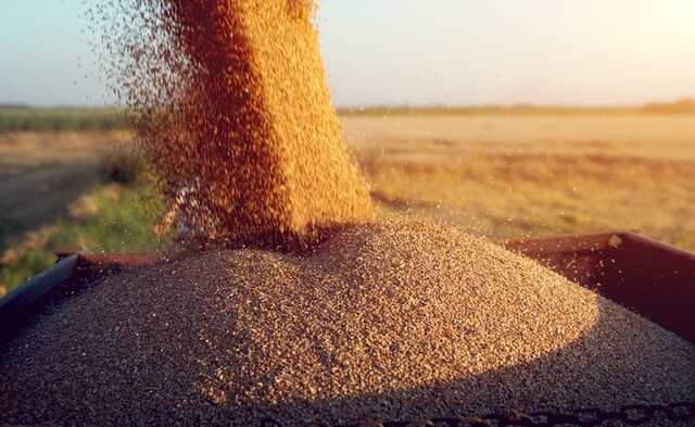 Угорщина посилює контроль за транзитом українського зерна