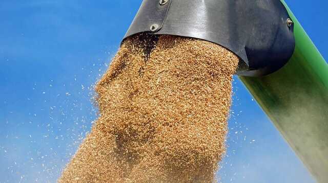 Угорщина встановить контроль за українським імпортом зерна