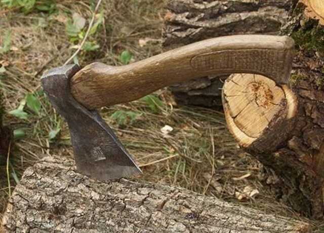 Поставщик дров украл у городка под Киевом 8 млн гривен