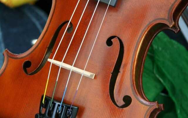 Українець намагався незаконно вивезти в Болгарію скрипку Страдіварі