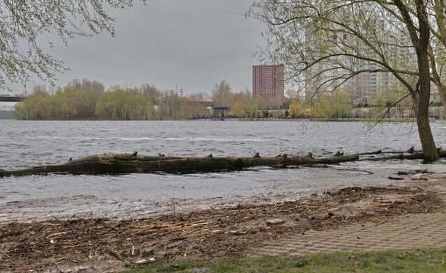Київ "іде під воду": підтоплено міський парк Наталка