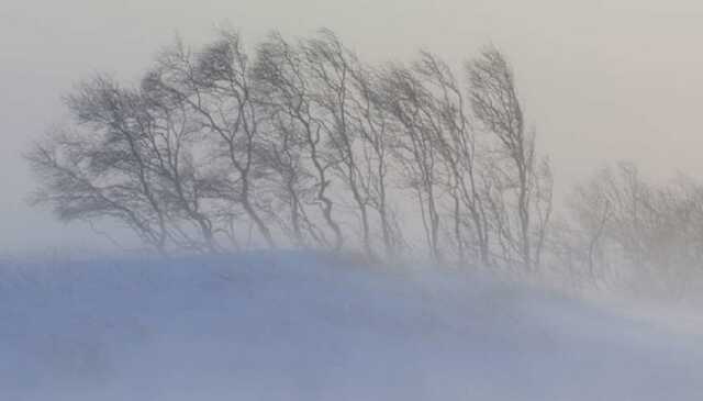 Наприкінці квітня Карпати накрила сильна снігова буря