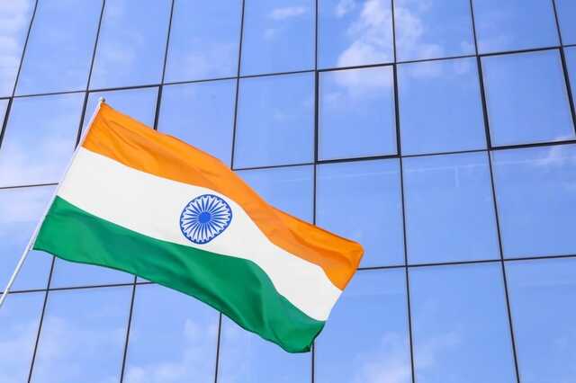  䳿      - Bloomberg