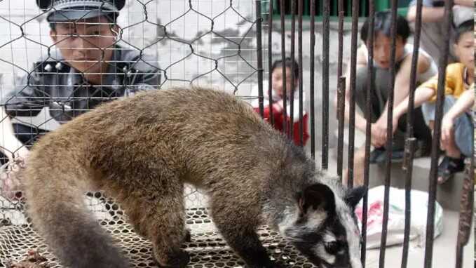 Усі сліди ведуть в Ухань: як китайська влада переписує історію пандемії