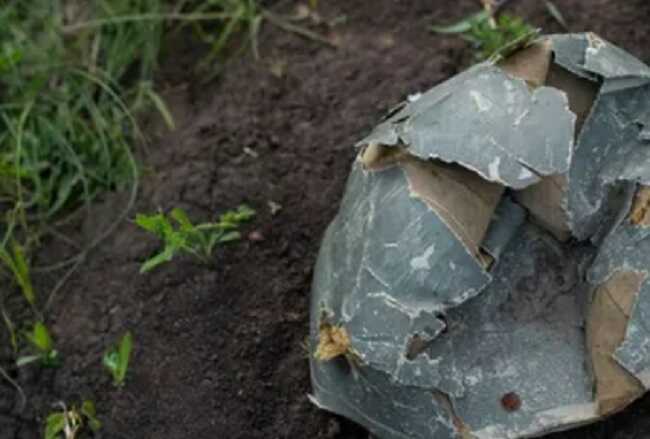 Дрон-камікадзе ЗСУ залетів у набитий окупантами бліндаж і влаштував потужну "бавовну"