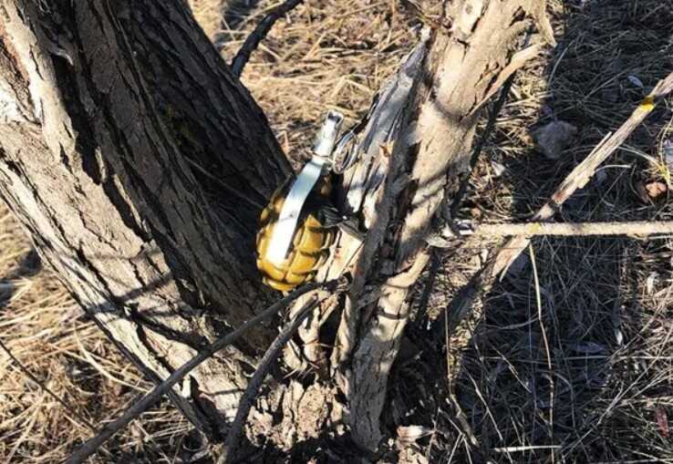 Скільки років міни залишаються небезпечними: у ДСНС пояснили українцям