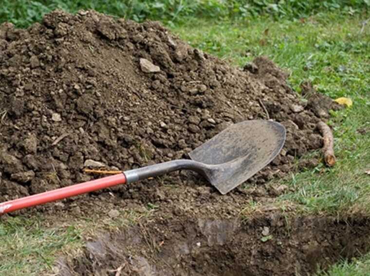 Поховали зятя живцем за покинуту родину