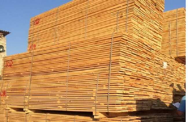 На Буковине заблокирована схема контрабанды древесины