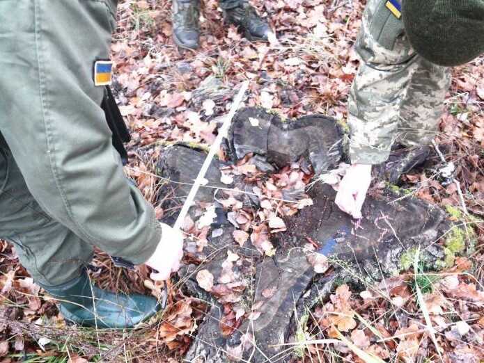 На Житомирщині екслісничого підозрюють у зловживаннях