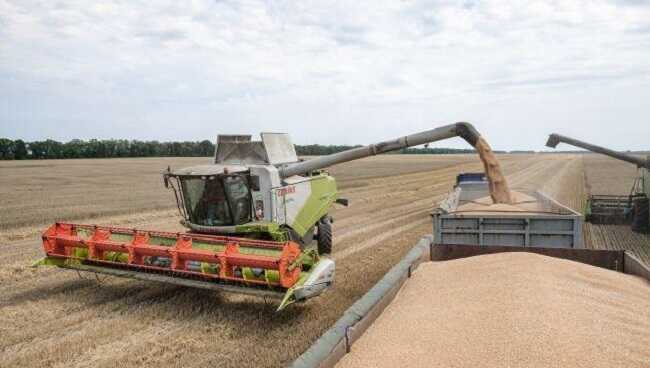 Аграрний сектор України цього року втратить ще 10%, - прогноз міністерства