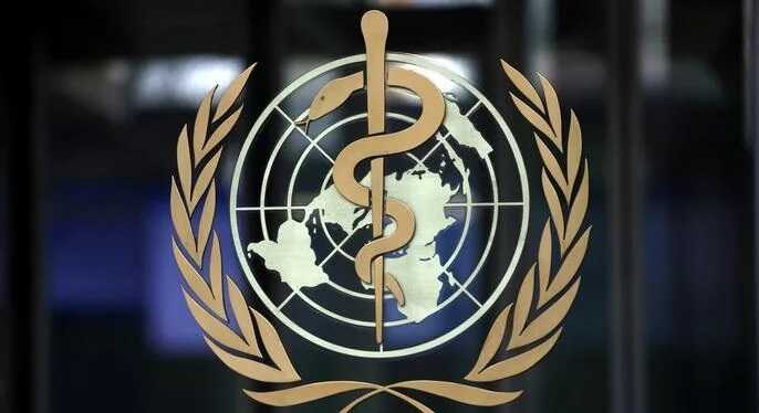 Росія не змогла завадити Україні зайняти місце у керівному органі ВООЗ