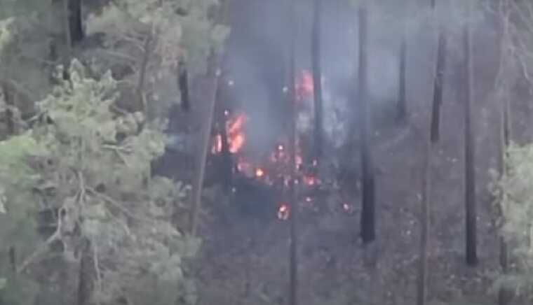 Пограничники показали взрывные кадры подрыва вражеского военного состава