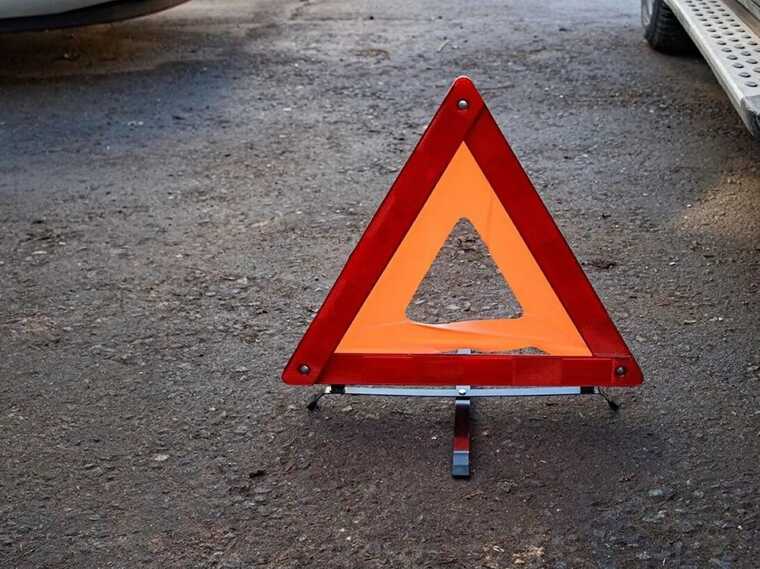 У Києві мотоцикліст ледь не загинув через собаку-порушника ПДР