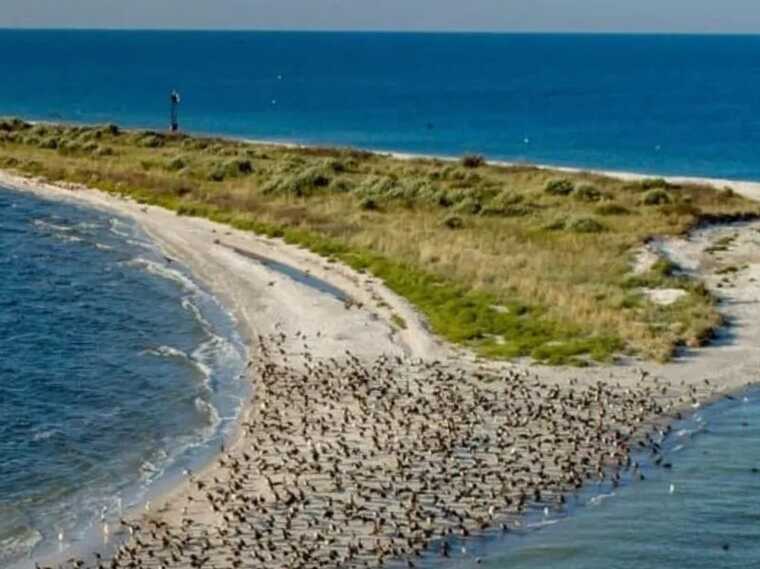 Стала "островом": окупована Кінбурнська коса через вибух на Каховській ГЕС відрізана від материка