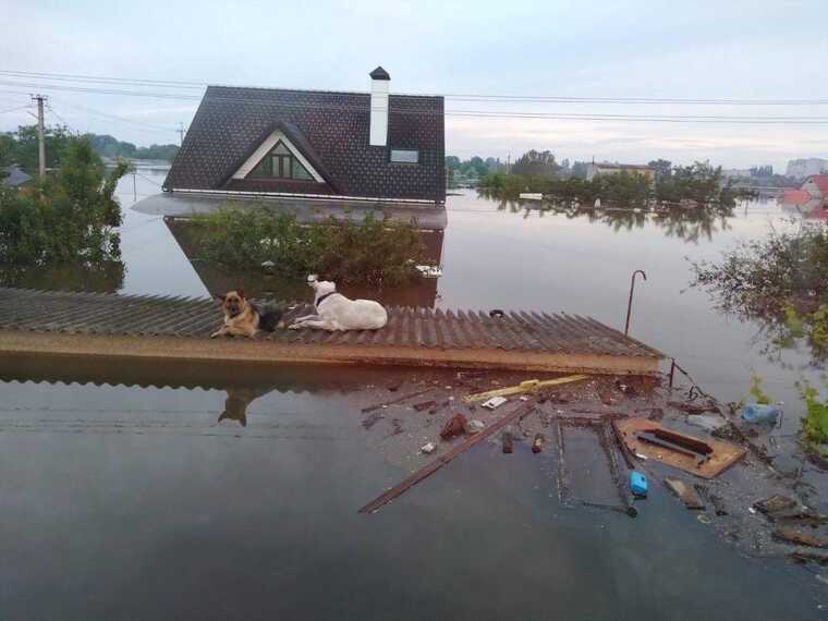 Число загиблих через підрив Каховської ГЕС слід уточнювати