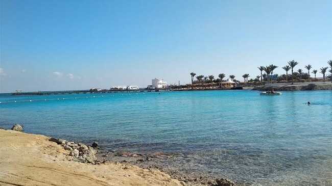 Акула з’їла руку і голову: З’явилися подробиці загибелі росіянина в Єгипті