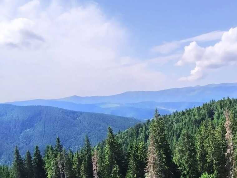 У Карпатах гірські рятувальники знайшли киянку, яка заблукала в горах