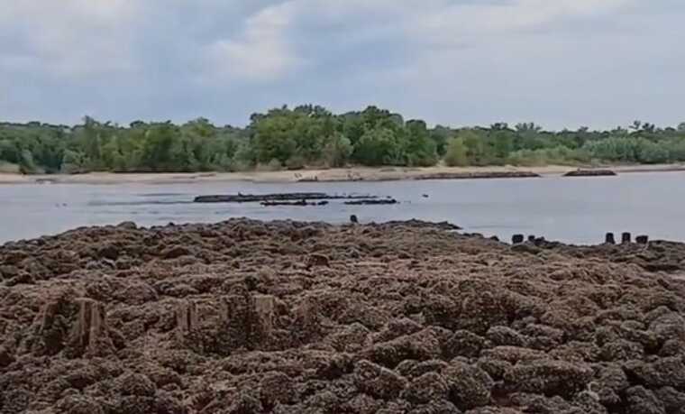 Після обміління Дніпра у Запоріжжі відкрилися залишки старого мосту на Хортицю
