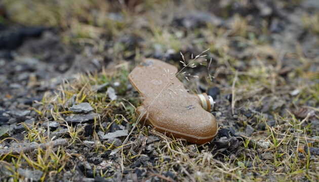 В Харківській області чоловік підірвався на протипіхотній міні