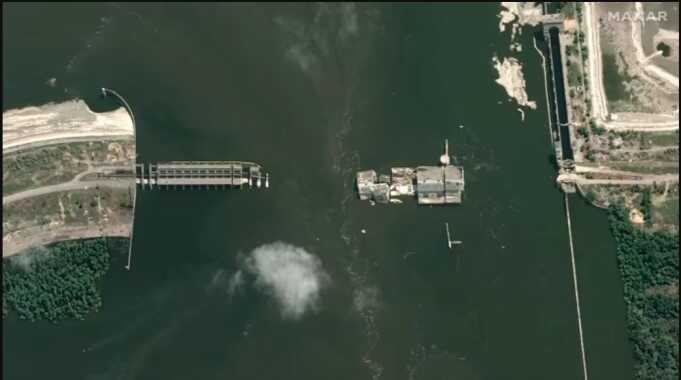 Около 20 тыс. животных погибли в результате подрыва Каховской ГЭС