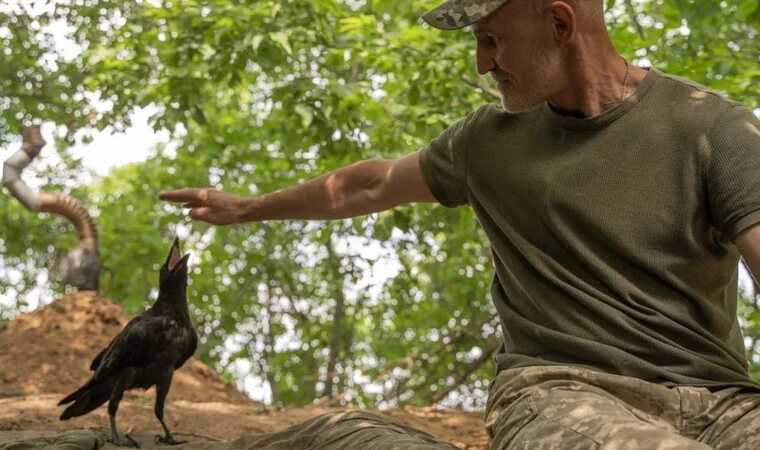 Міг би бути розвідником або диверсантом: бійці ЗСУ на позиції приручили ворона