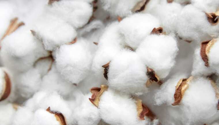 "Піднялися стовпи диму": В окуповані Луганськ і Донецьк завітала "бавовна"