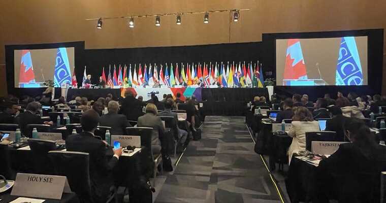 Парламентська Асамблея ОБСЄ закликала Росію негайно вивести війська з Грузії