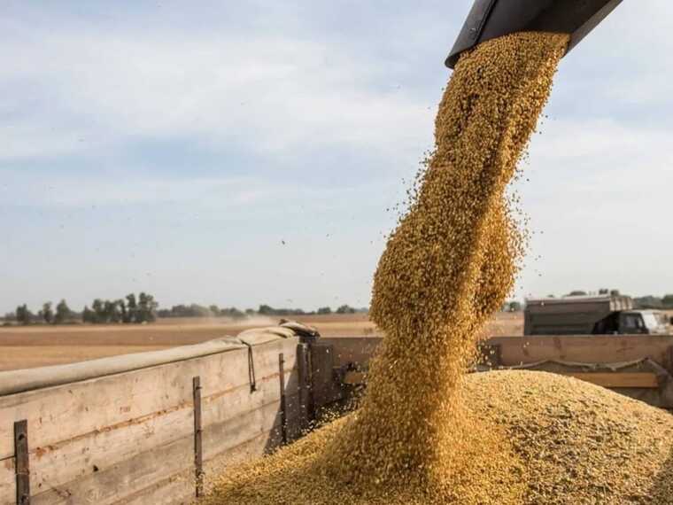 Украина будет терять по $800 млн в месяц: МВФ озвучил экономические оценки