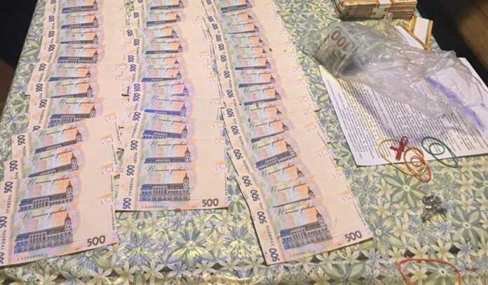 Полмиллиона взятки за выделение земли под предпринимательство: в Кировоградской области разоблачен чиновник-землеустроитель