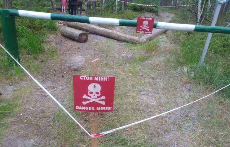 В Житомирской области на мине подорвался автомобиль, водитель погиб, - полиция