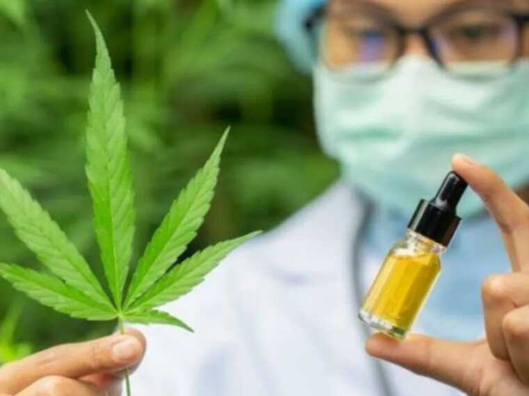 Депутати Ради зробили крок до легалізації медичного канабісу в Україні: що передбачає законопроєкт