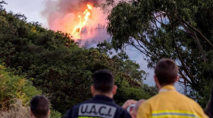 На Канарах євакуювали понад 4000 жителів через лісові пожежі