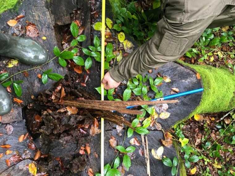 На Закарпатье за коррупцию задержали экс-мастера биосферного заповедника