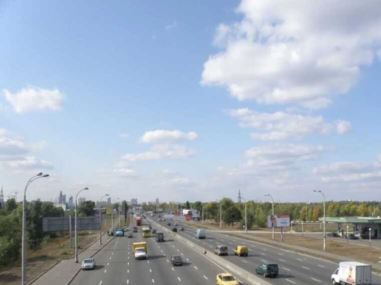 У Києві невідомі пошкодили понад 100 дерев на проспекті Шухевича