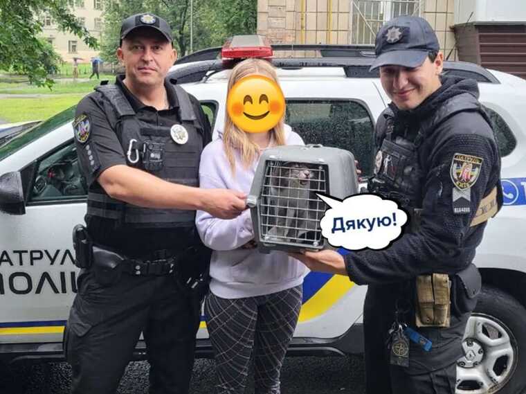У Києві врятували котика, який кілька тижнів прожив у квартирі багатоповерхівки