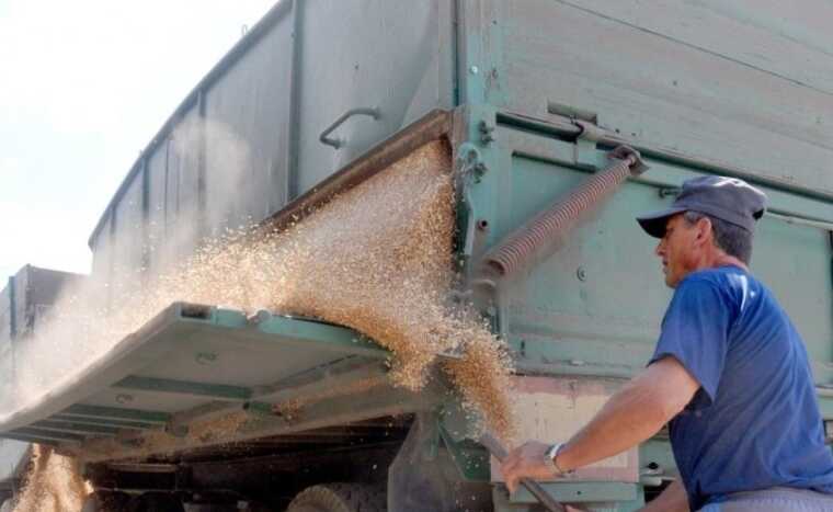 Китай готов покупать краденное украинское зерно за бесценок у России, — СМИ