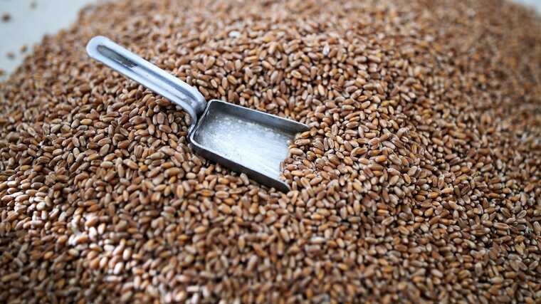 Вихід Росії із зернової угоди викликав зростання світових цін на продовольство, - ООН