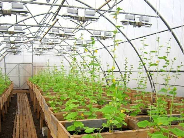 За фермерами в Украине начали следить со спутника: кого заденет повышенный контроль