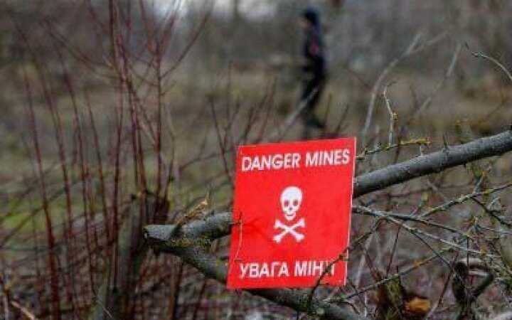 Азербайджан долучається до списку країн, які проводитимуть тренінги для українських саперів