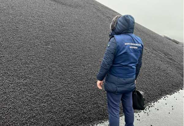 Бюро экономической безопасности Украины: глобальные проблемы функционирования