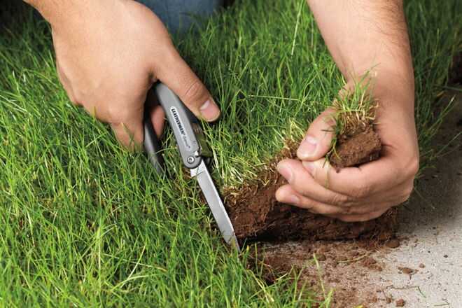 Рейдерство землі під прикриттям "армії": у Броварах псевдовійськові намагаються захопити сільське господарство "Войтівське"