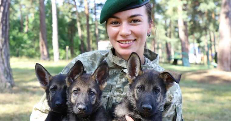 Пограничники готовят четырехлапых друзей к обороне Украины