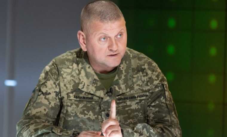 США призвали Украину провести общевойсковую операцию на юге: Залужный выступил против, — СМИ