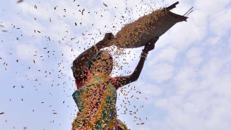 Індія обмежила продаж свого стратегічного продукту