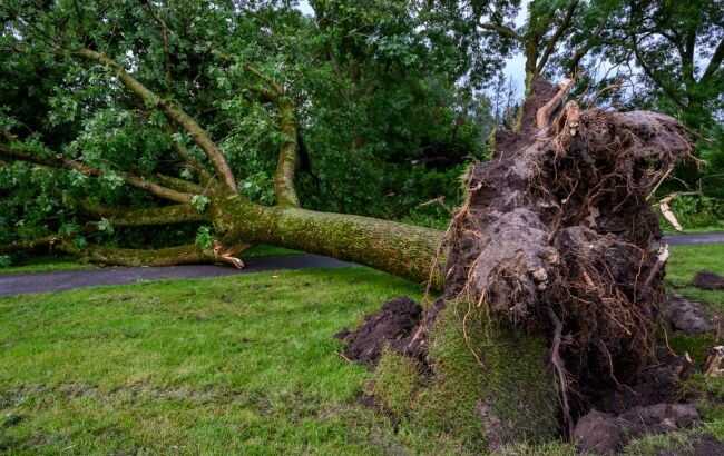Через потужний тайфун у Тайвані евакуювали тисячі людей