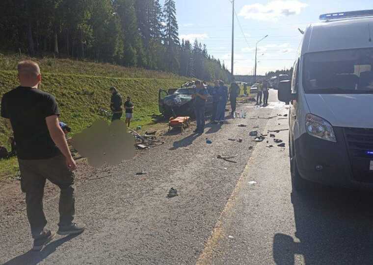 У Росії КамАЗ врізався в колону велосипедистів: двоє загиблих