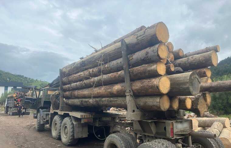 На Рахівщині поліцейські вилучили з підпільного цеху партію нелегальної деревини