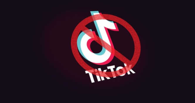 В США генпрокуроры девяти штатов поддержали запрет на TikTok