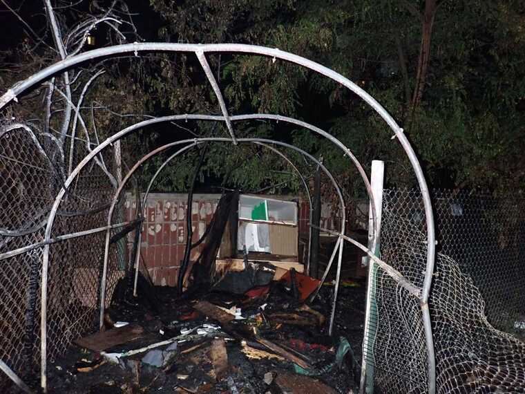 Поліція Києва відкрила кримінальне провадження за фактом пожежі у притулку "Котохата"